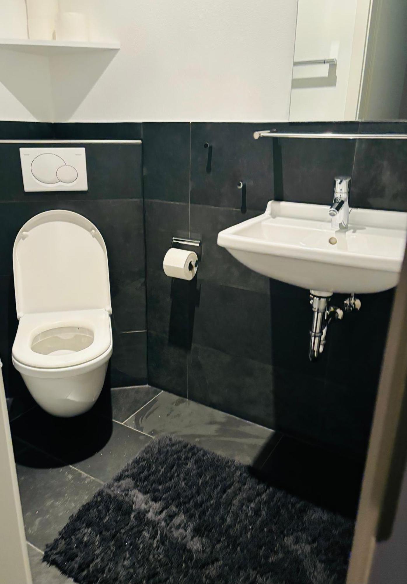 Lake View 110Sqm In/Outdoor Living Entire Apartment With 2 Bedrooms 라이헤나우 외부 사진