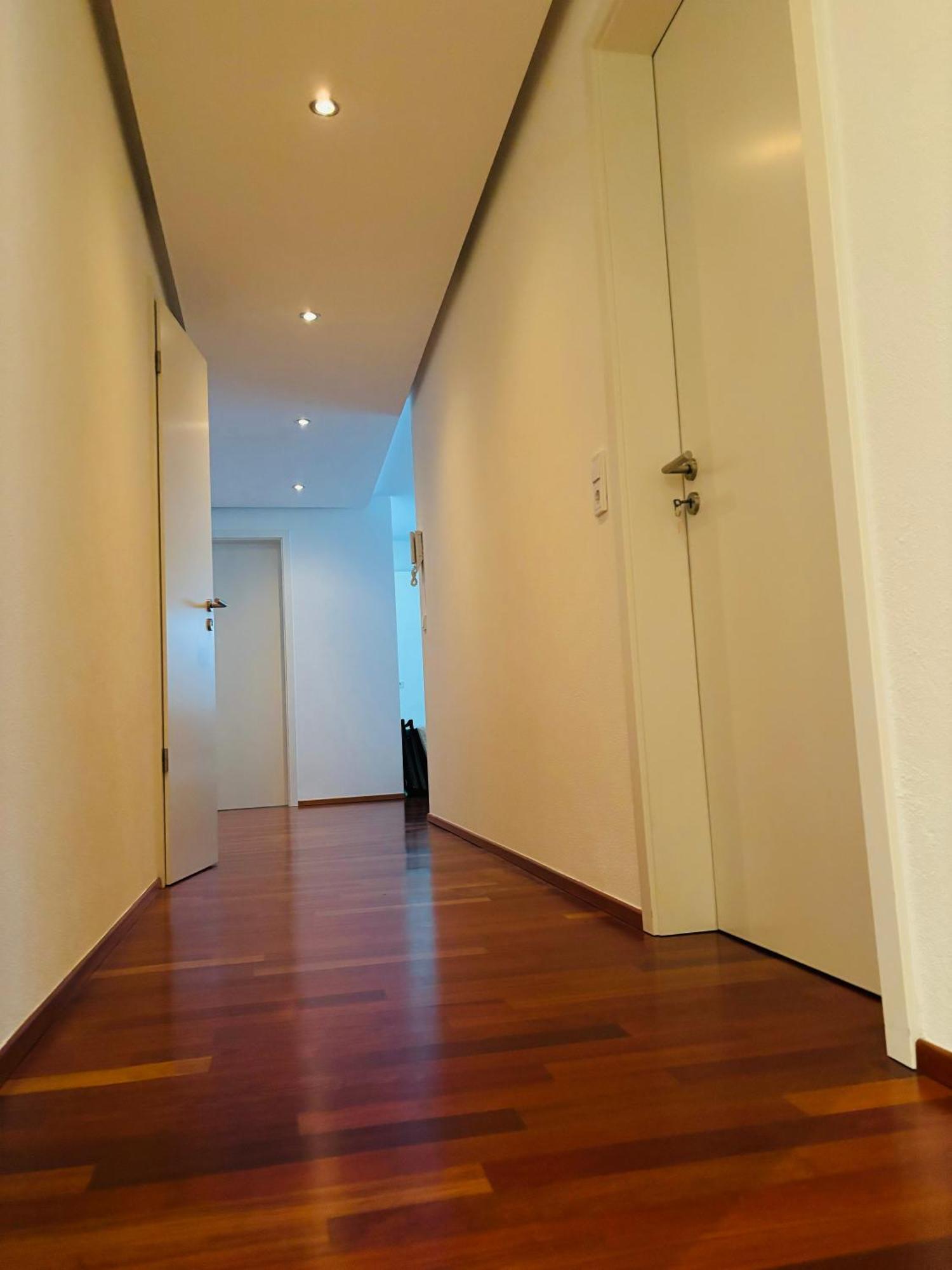Lake View 110Sqm In/Outdoor Living Entire Apartment With 2 Bedrooms 라이헤나우 외부 사진